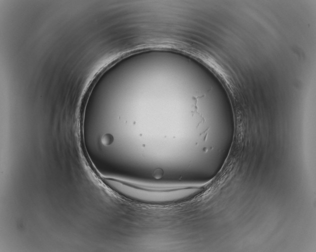 X0000112371088200908271312