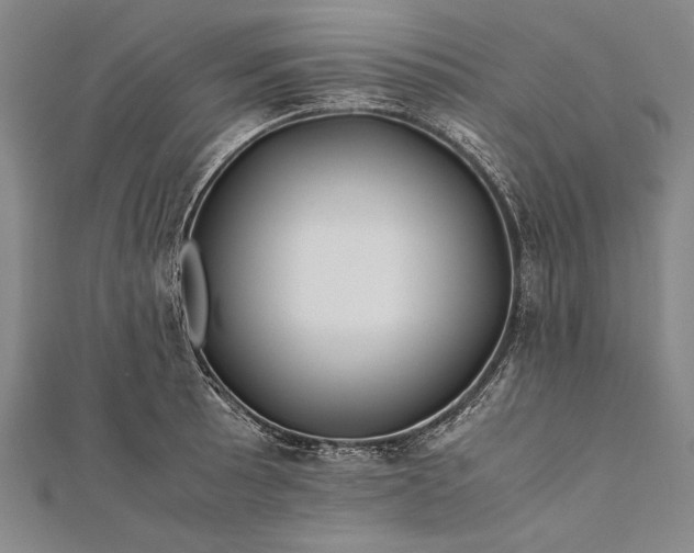 X0000112371089200908271312