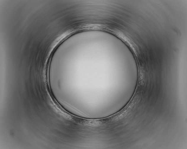 X0000112371090200908271312