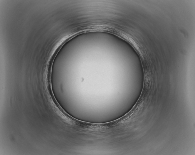 X0000112371091200908271312