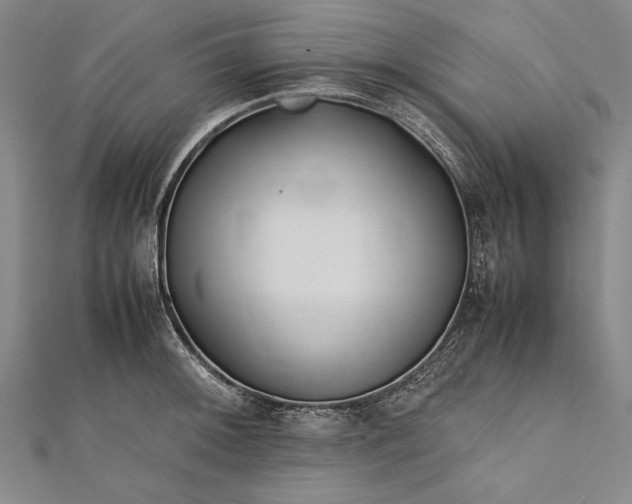 X0000112371092200908271312