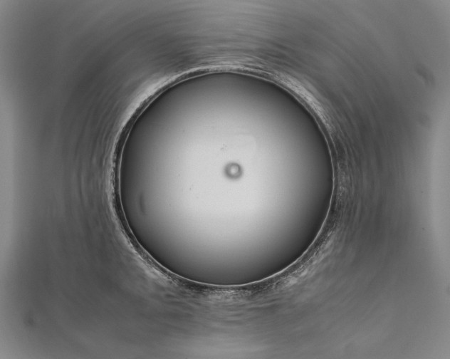 X0000112371093200908271312