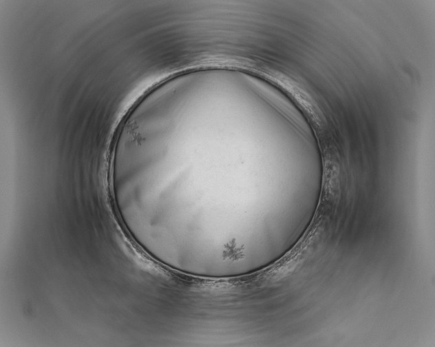 X0000112371094200908271312