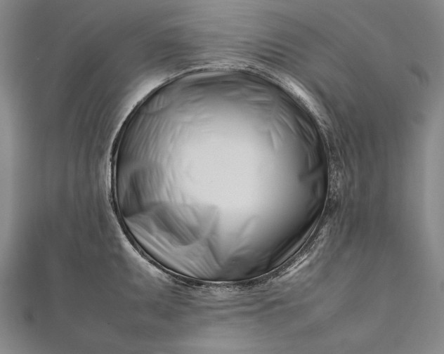 X0000112371095200908271312