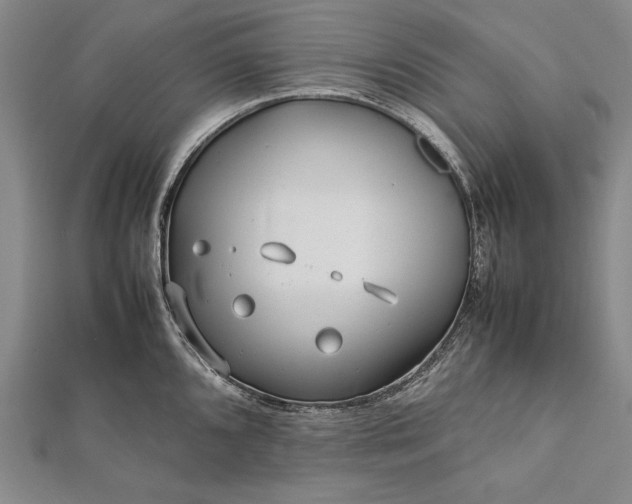 X0000112371096200908271312