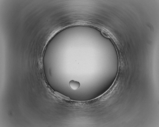 X0000112371097200908271312