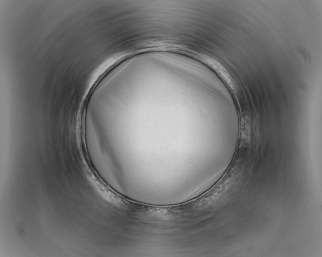 X0000112371098200908271312