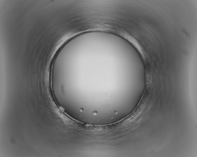 X0000112371099200908271312