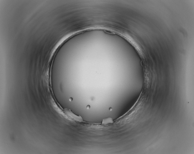 X0000112371100200908271312