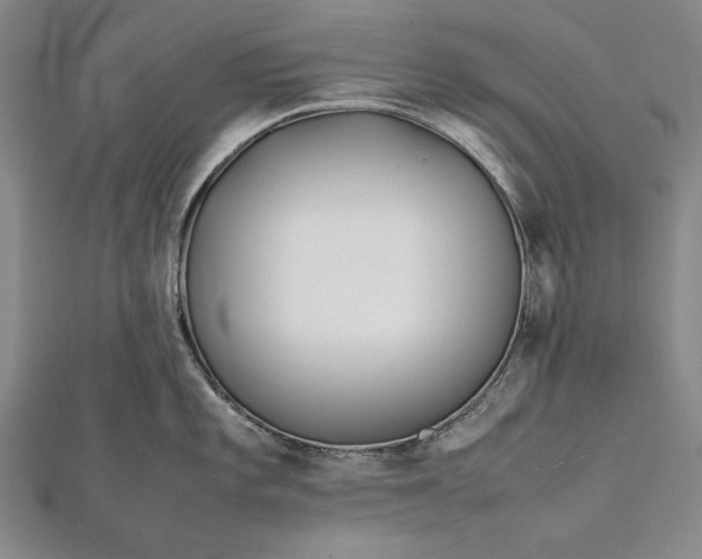 X0000112371101200908271312