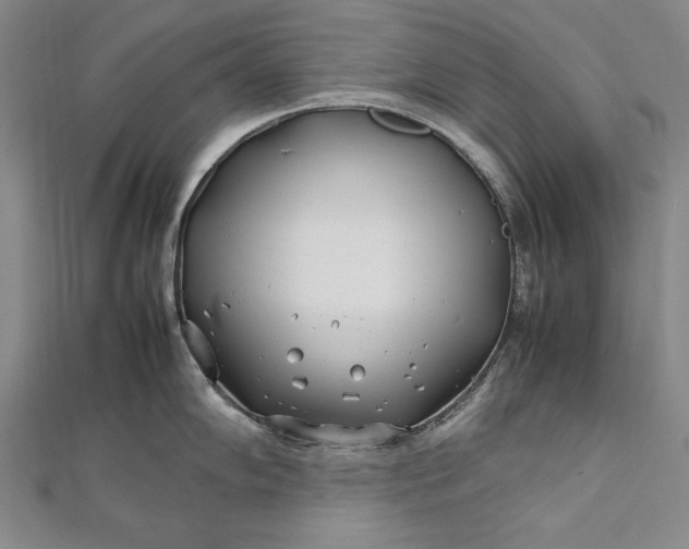 X0000112371102200908271312