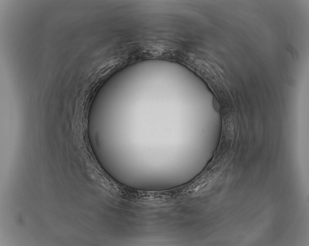 X0000112371105200908271312