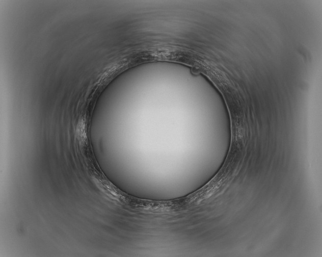 X0000112371106200908271312