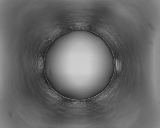 X0000112371107200908271312