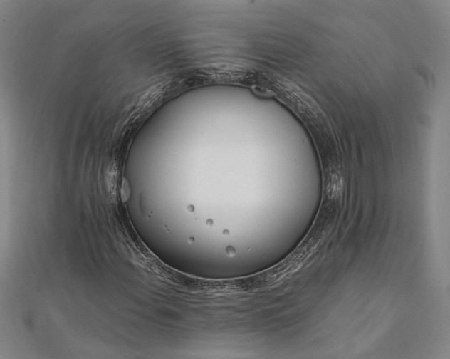 X0000112371108200908271312