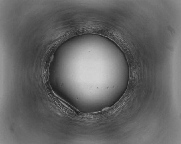 X0000112371109200908271312