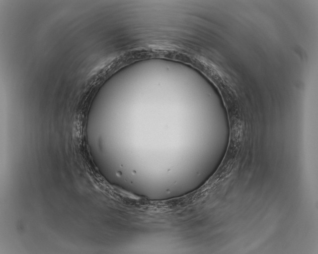 X0000112371110200908271312