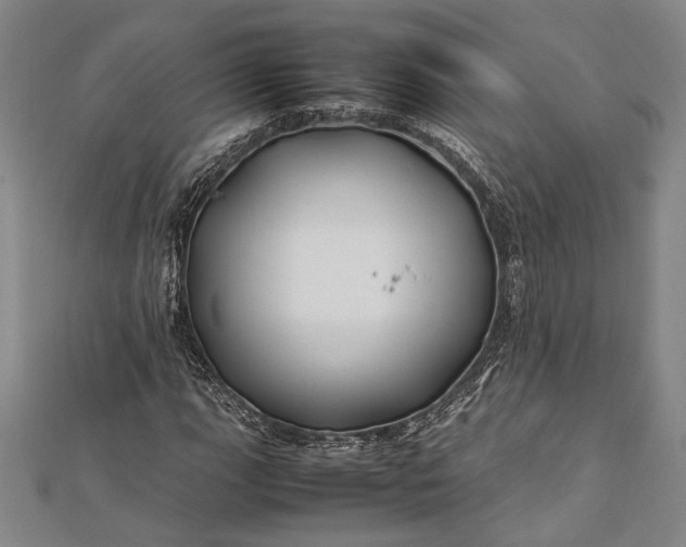 X0000112371111200908271312