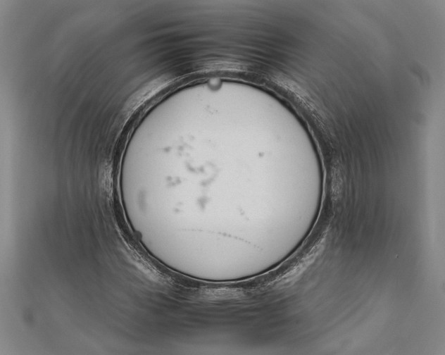 X0000112371113200908271312