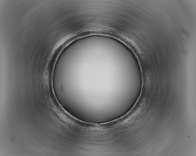 X0000112371114200908271312