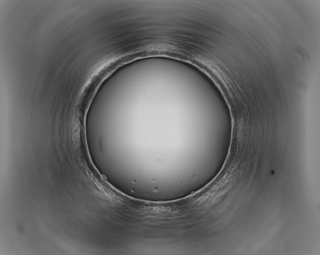 X0000112371115200908271312