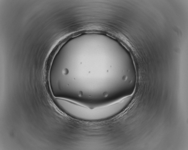 X0000112371116200908271312