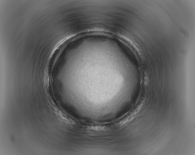 X0000112371117200908271312