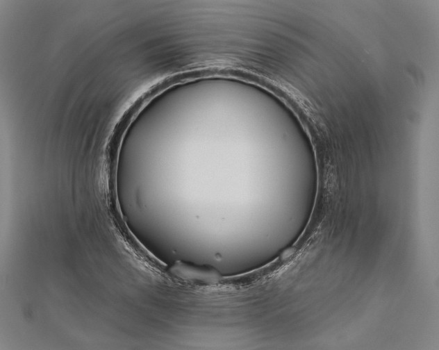 X0000112371118200908271312