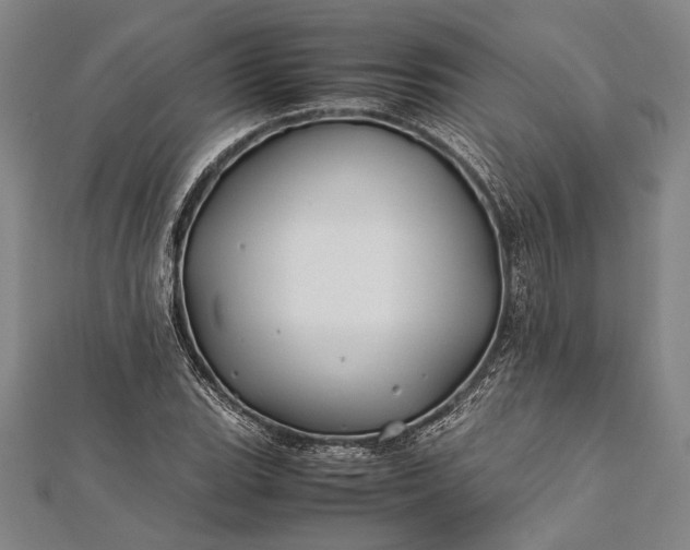 X0000112371119200908271312