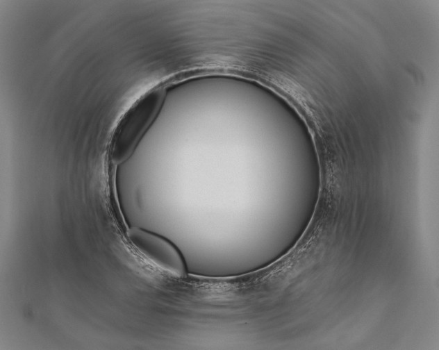 X0000112371120200908271312