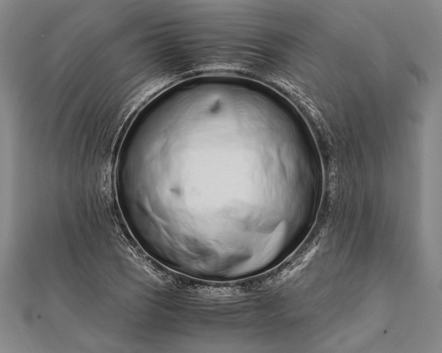 X0000112371121200908271312