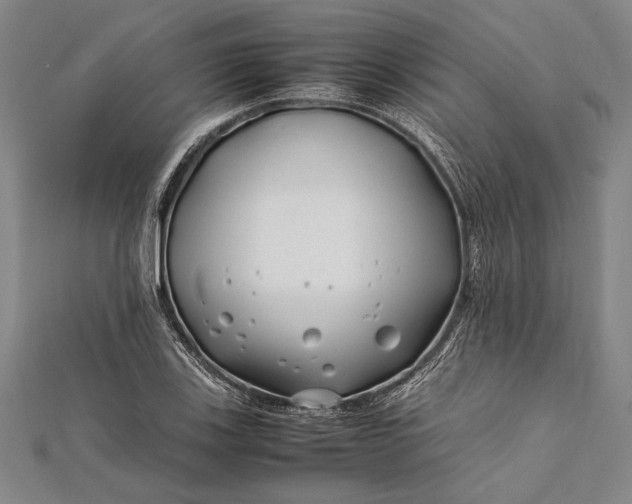 X0000112371123200908271312