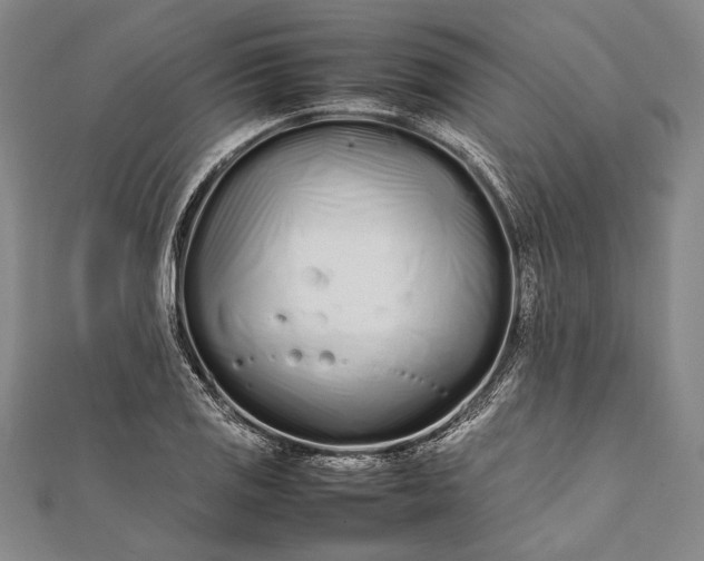 X0000112371125200908271312