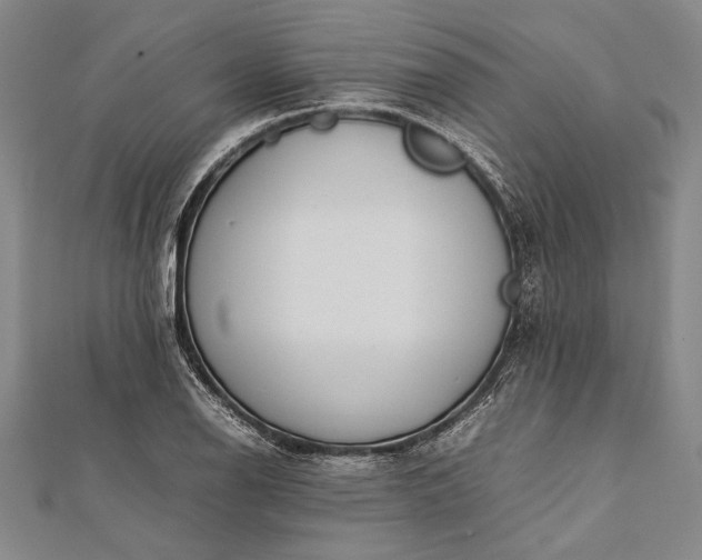 X0000112371126200908271312