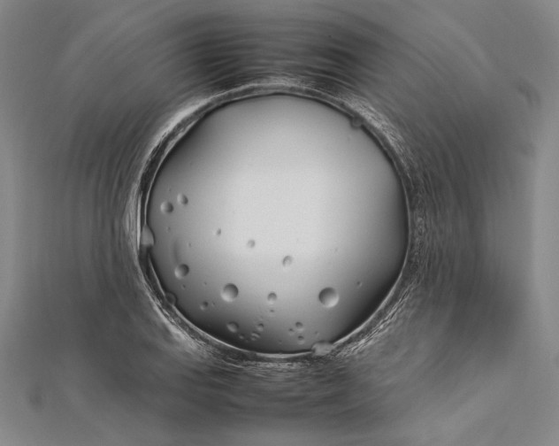 X0000112371127200908271312