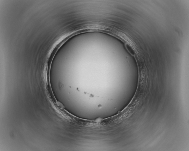 X0000112371128200908271312