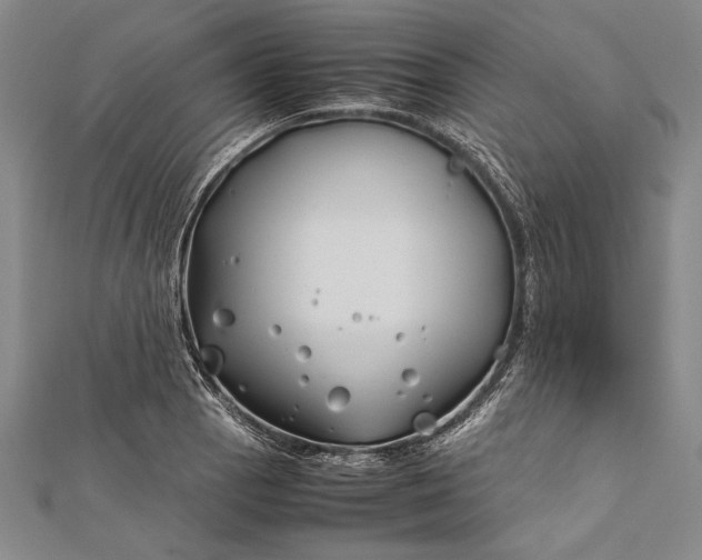 X0000112371129200908271312