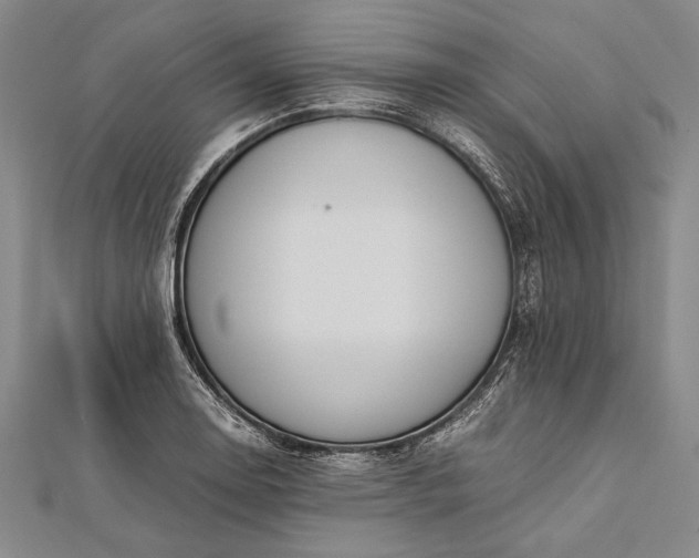 X0000112371130200908271312