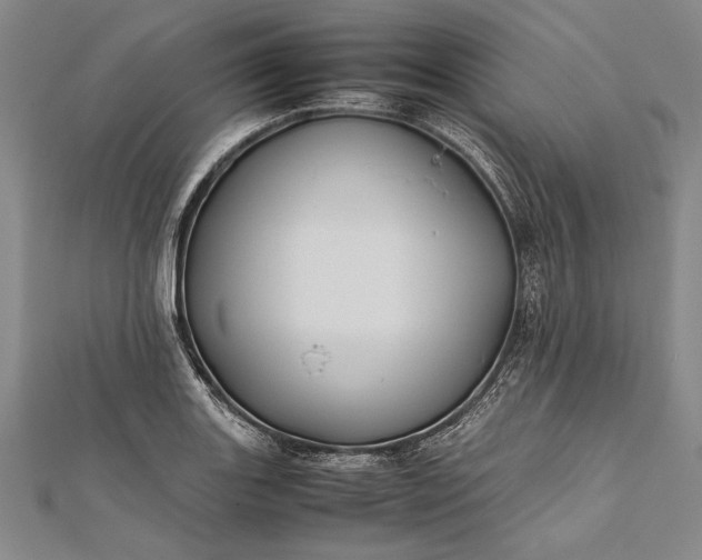 X0000112371131200908271312