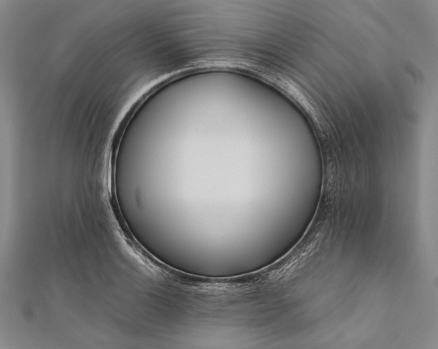 X0000112371132200908271312