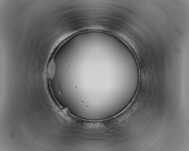 X0000112371133200908271312