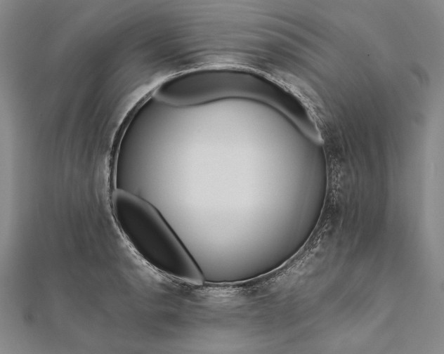 X0000112371134200908271312