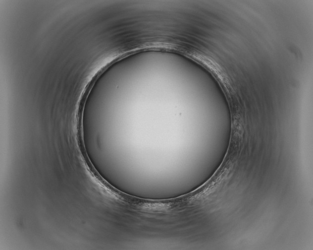 X0000112371135200908271312