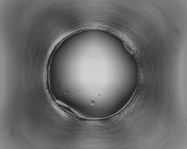 X0000112371136200908271312