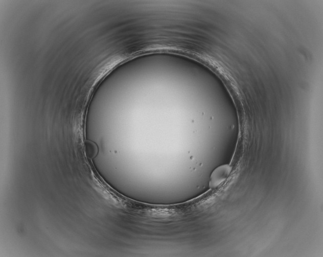 X0000112371137200908271312