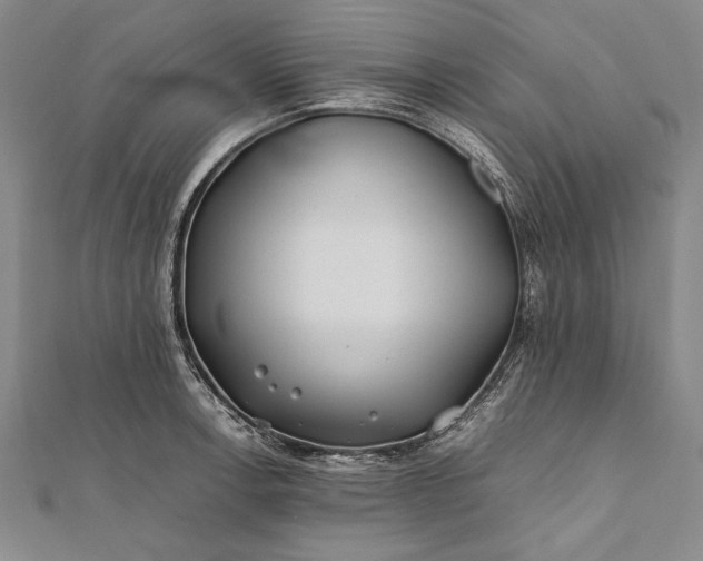 X0000112371138200908271312