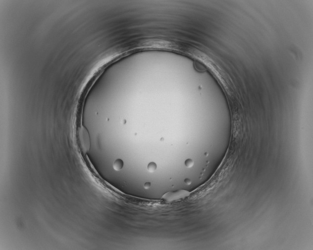 X0000112371139200908271312