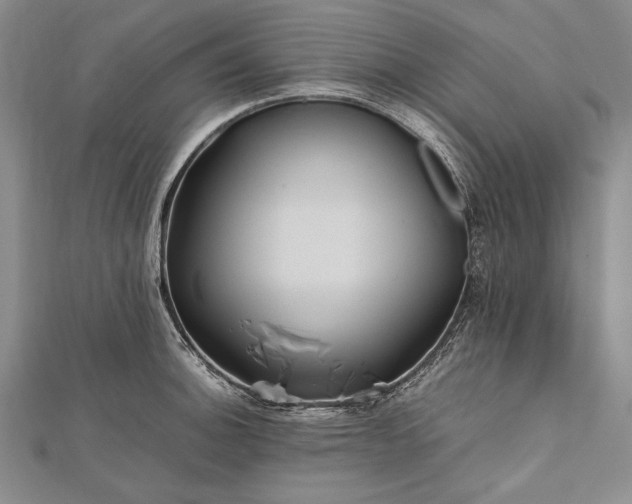 X0000112371140200908271312