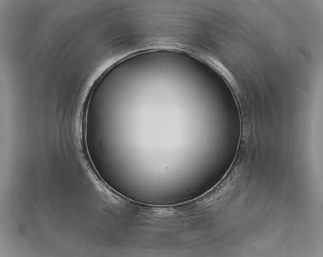 X0000112371144200908271312