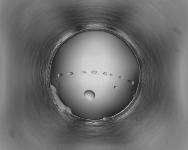 X0000112371145200908271312